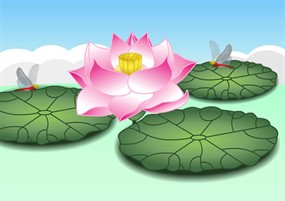 盛开的荷花flash动画